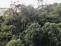 Regent Heights (D23), Condominium #192905492